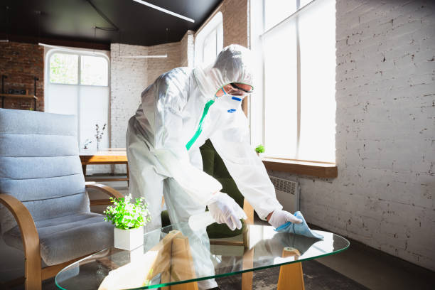 Best Industrial Mold Remediation in Belfast, ME